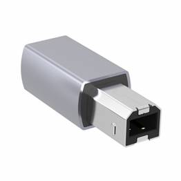Remax MicroUSB naar USB-C adapter - Goud