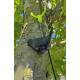 Vogel geocache houder met ruimte voor bison - 11cm - 3D geprint - Zwart